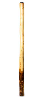 Peter Sherwood Didgeridoo (NV120)